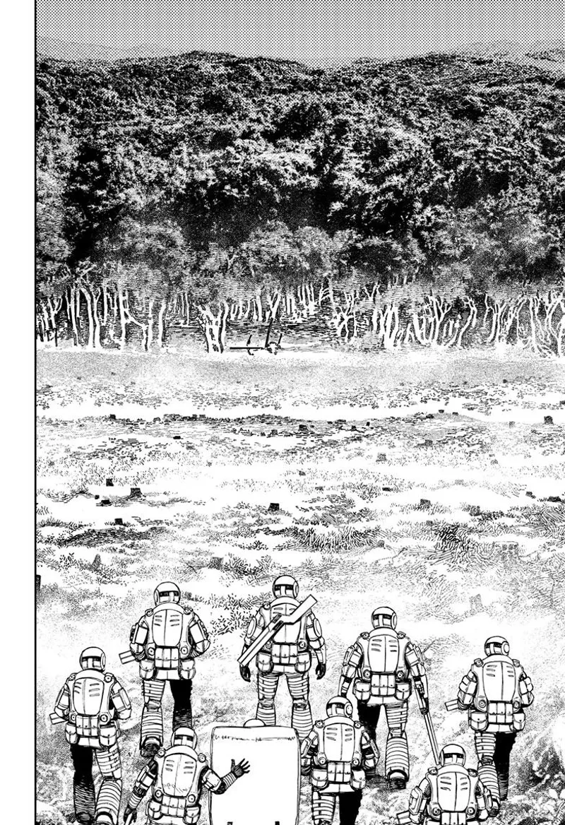 The soldiers stop after passing through the cleared forest that leads to the trees ahead of them.