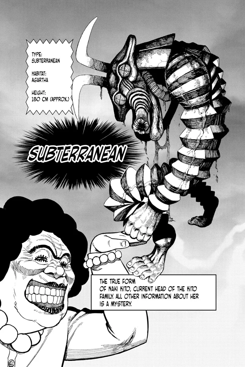Character details on the true form of Naki Kita, which is a monster called Subterranean.